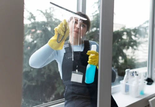 Nettoyage de vitres intérieures et extérieures à Trémouilles